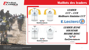 Maillots de leader