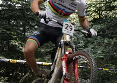 d729250c-2805-4671-9d3a-6f86d4e2c538