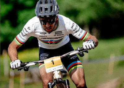 d9e95ece-a9fe-4308-9369-e9c2b79e5e17